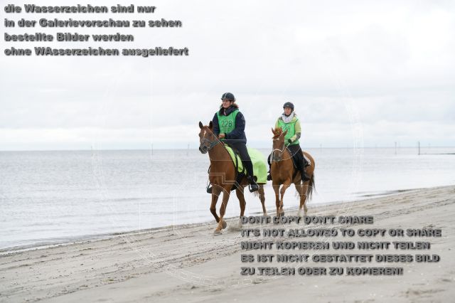 s_K3F04718.JPG